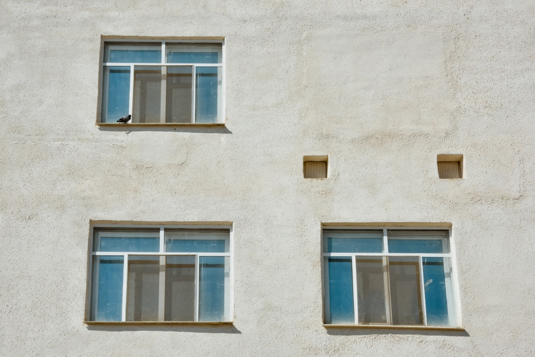 Photo Windows Security System