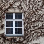 Photo Windows Security Future